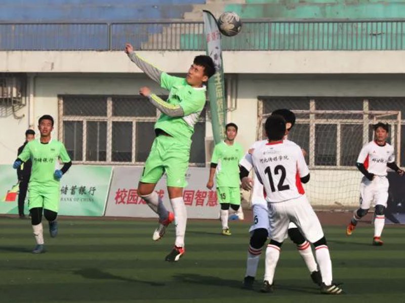 关于开云